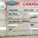 Premnant Study Permit Visa