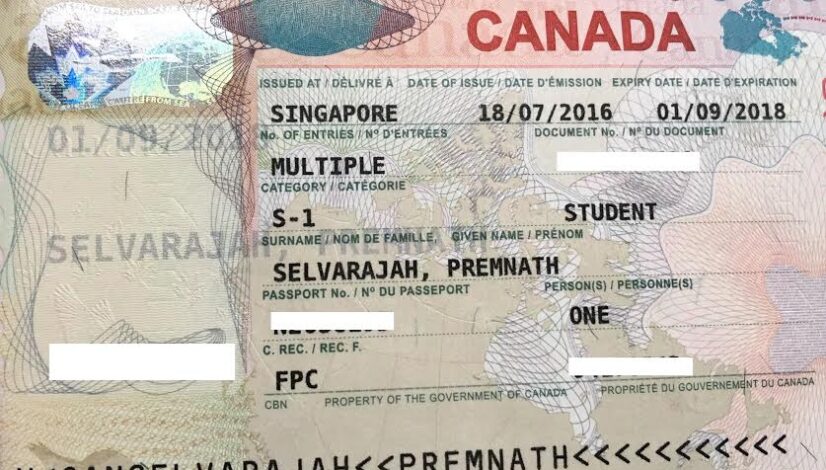 Premnant Study Permit Visa